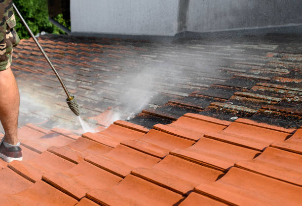 Best Sidewalk Pressure Washing  in Oak Grove, SC